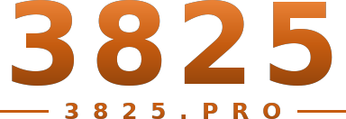 3825 logo